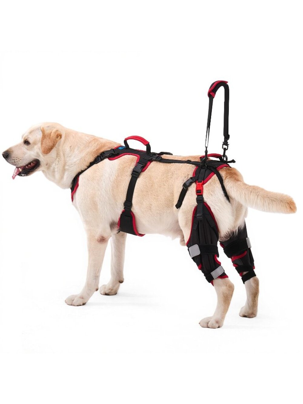Lafoty XXL Dog Knee Brace Lift Harness Back Legs Adj. Non-Slip Support Senior